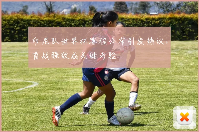 印尼队世界杯赛程公布引发热议，首战强敌成关键考验
