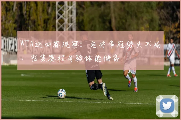 WTA巡回赛观察：老将争冠势头不减，密集赛程考验体能储备
