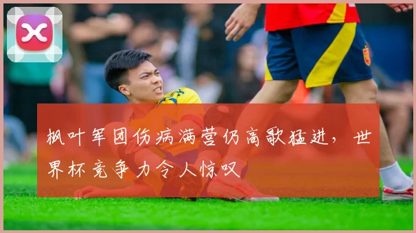 枫叶军团伤病满营仍高歌猛进，世界杯竞争力令人惊叹