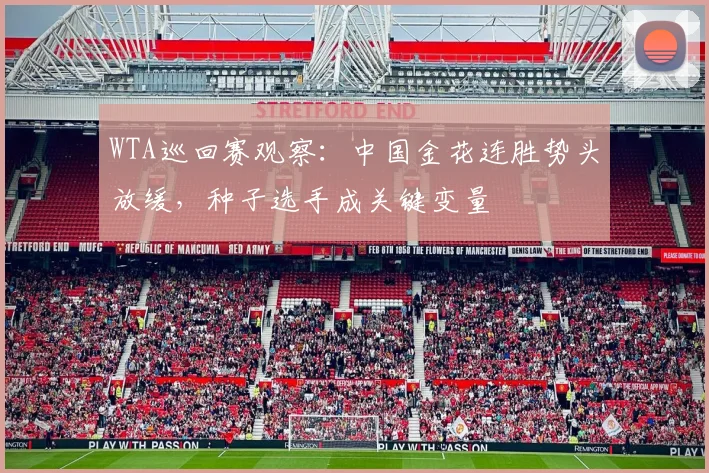 WTA巡回赛观察：中国金花连胜势头放缓，种子选手成关键变量