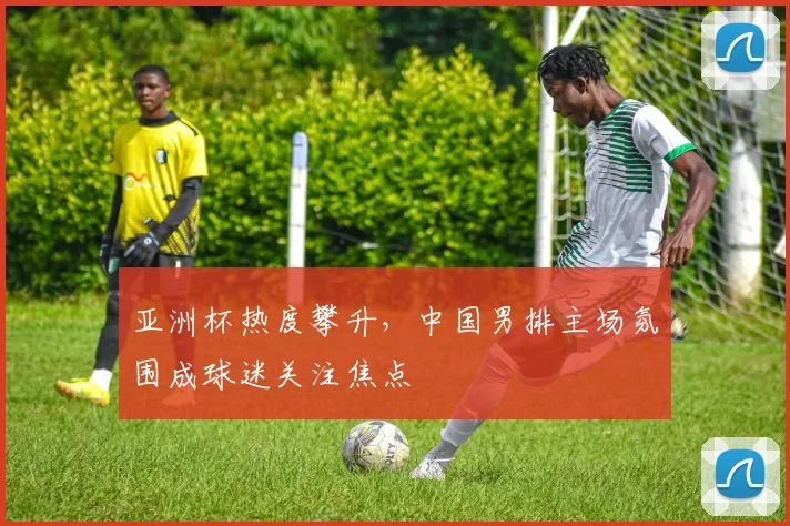 亚洲杯热度攀升，中国男排主场氛围成球迷关注焦点