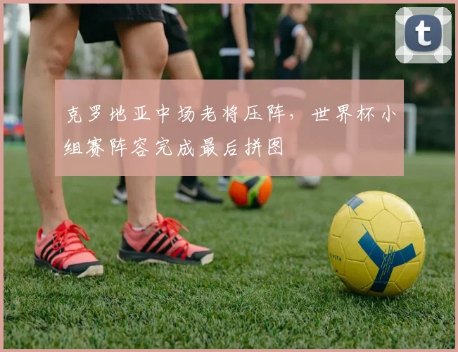 克罗地亚中场老将压阵，世界杯小组赛阵容完成最后拼图